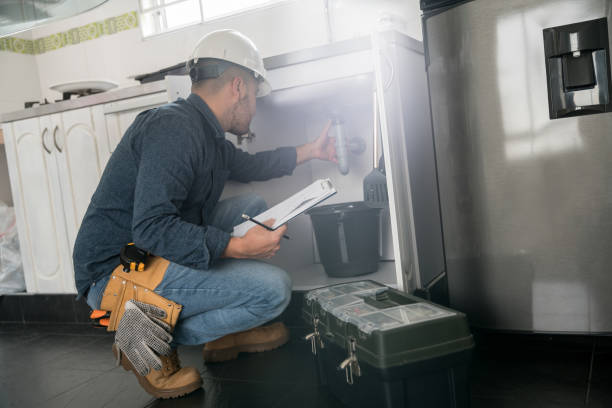 Best Plumbing Inspection Services  in Rantoul, IL
