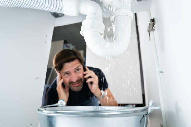 Best Shower Repair Services  in Rantoul, IL