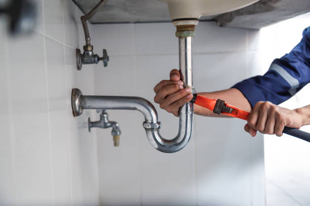 Best Plumbing Services Near Me  in Rantoul, IL
