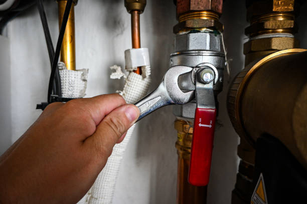 Best Residential Plumbing Services  in Rantoul, IL